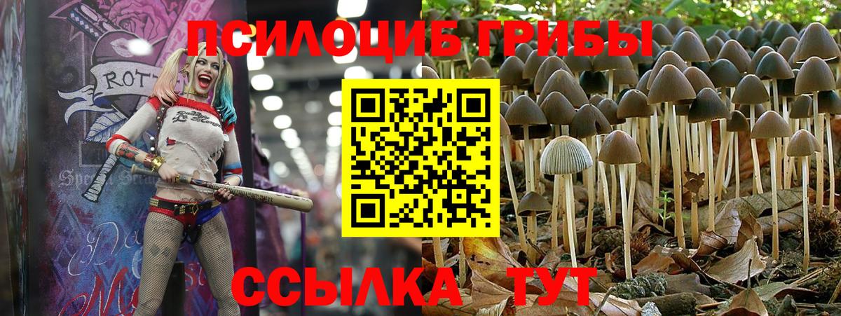 Псилоцибиновые грибы мицелий  Вход с VPN  Псилоцибиновые грибы Magic Shrooms  Кандалакша 